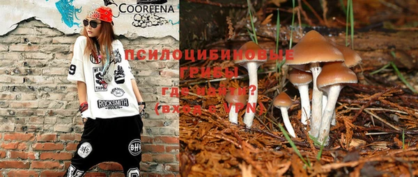амф Алексеевка