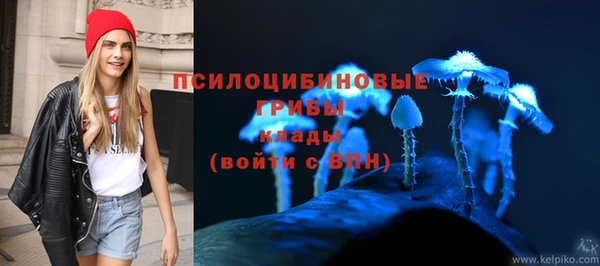 амф Алексеевка