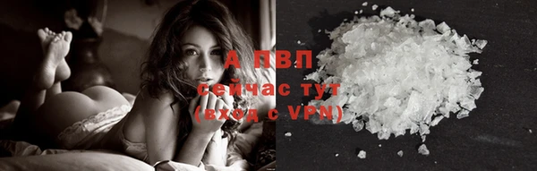 амф Алексин