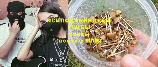 амф Алексин