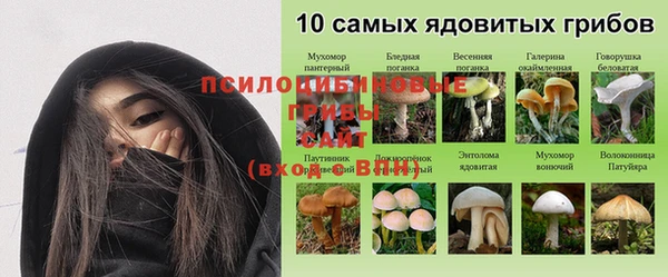 амф Алексин