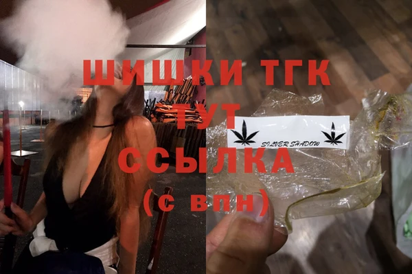 МДПВ Алзамай