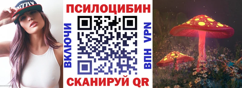 Псилоцибиновые грибы Psilocybe  Купить где  Улан-Удэ 